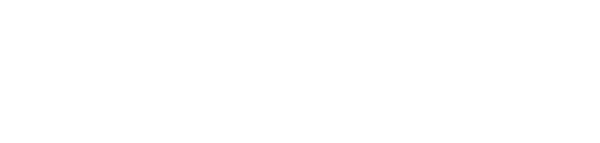 BLH Nobel reverse Logo